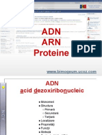 ADN ARN Proteine