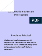 11- Matriz Dz Consistencia Ppt