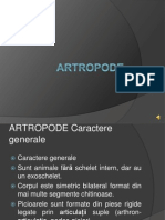 Artropode