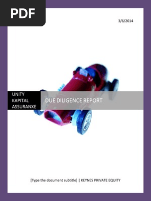 Due Dilligence Report-full Report
