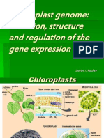 Chloroplasten Genom12