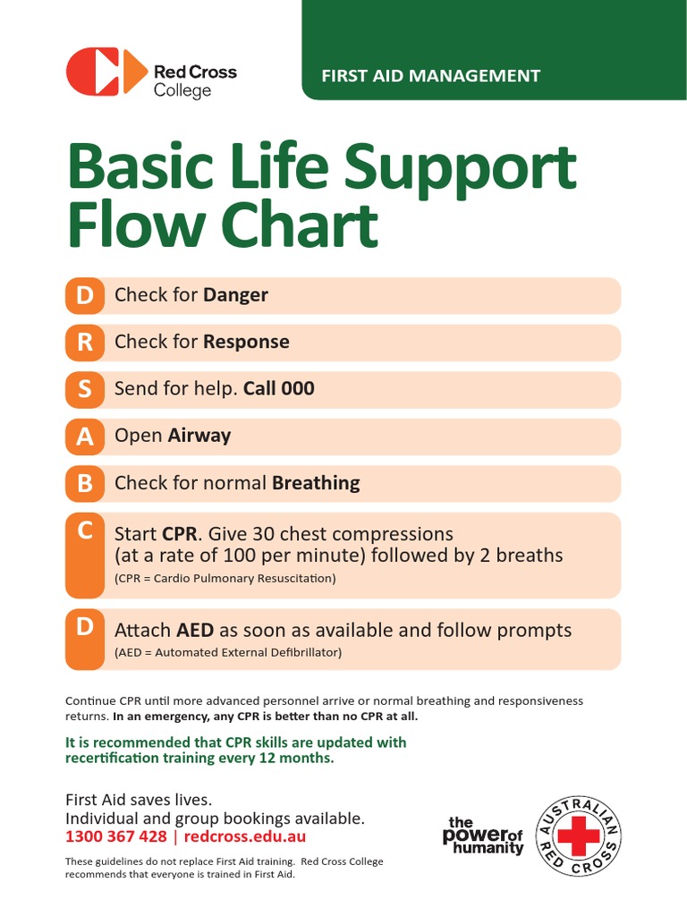 Basic Life Support
