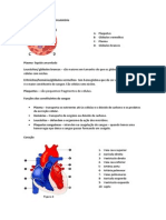 Resumo S Circ