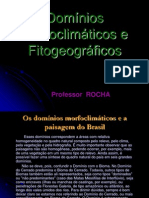 Dom_nios Morfoclim_ticos e Fitogeogr_ficos PI