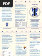 DL 6S Folder IUV Print PDF