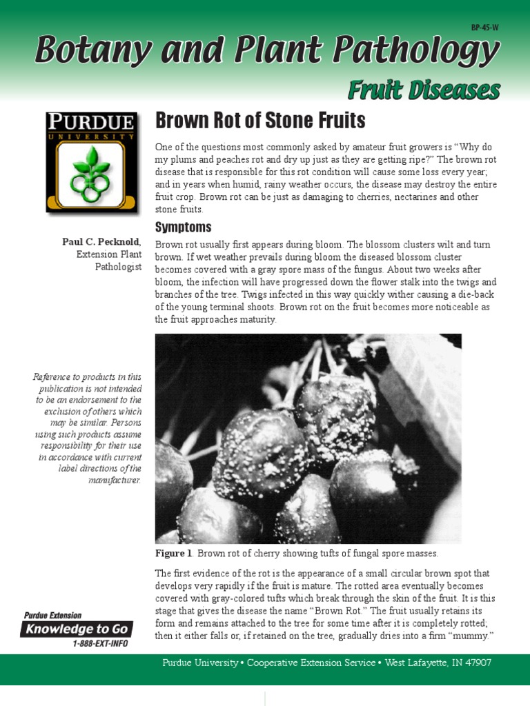 Botany and Plant Pathology | PDF | Fungus | Branches Of Botany