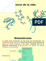 Componentes químicos intracelulares