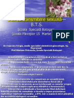127200153-bolicutransmiteresexual-ppt