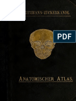 Atlas Anatomiedes Menschen