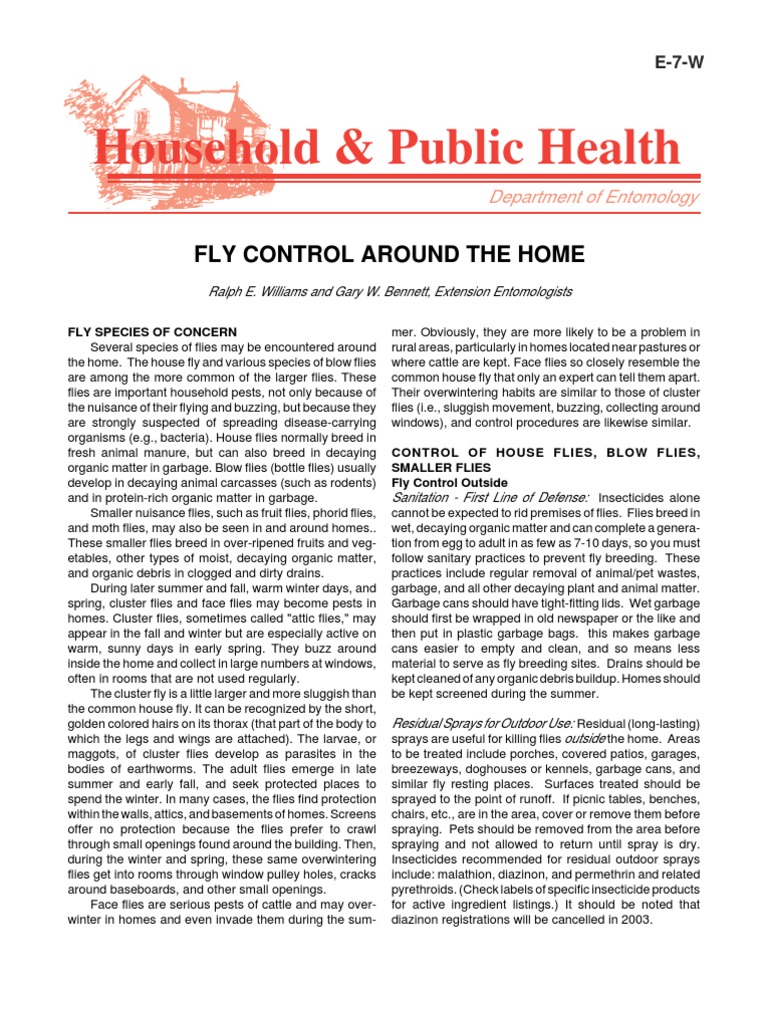 Effective Fly Control Strategies at Home | PDF | Fly | Insects
