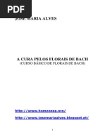 A Cura Pelos Florais de Bach