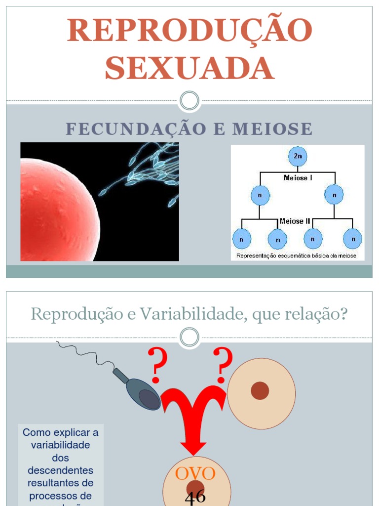Quando Falamos Em Reprodução Sexuada Podemos Afirmar Com Certeza Que