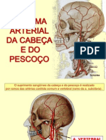 33 Sistema Arterial