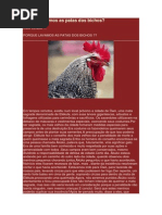 Porque Lavamos as Patas Dos Bichos