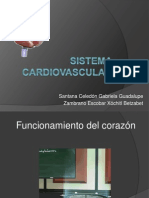 Sistema Cardiovascular