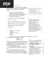 Gimnospermas e Angiospermas