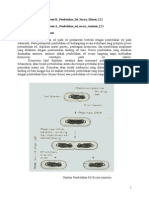 Mitosis Sel Tumbuhan