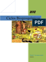 Ciclos Biogeoquímicos