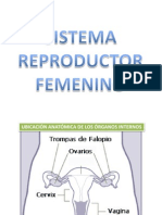 Clase de Sistema Reproductor Femenino