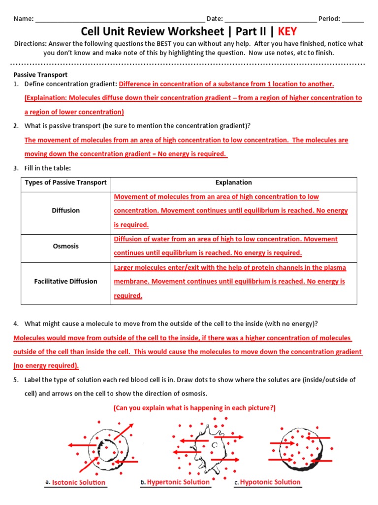 Cell Unit Review Worksheet Part II KEY - 2013-2014 | PDF | Vesicle (Biology  And Chemistry) | Osmosis