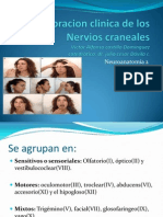 Nervioscraneanos 111020215859 Phpapp02