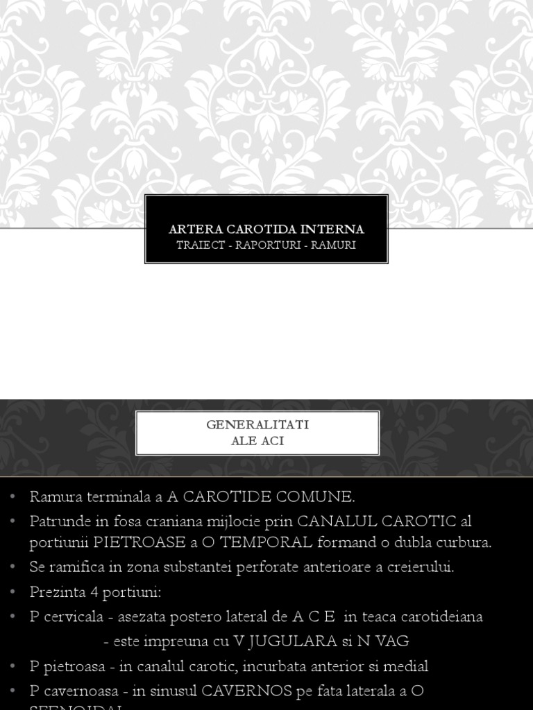 Artera Carotida Interna | PDF
