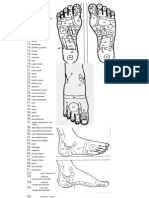 Planse Reflexologie de Picior