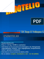 Endotelio