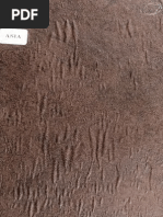 Download BALOCHI Lexicologia by Jzan Jzani SN210968208 doc pdf