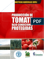 Producción de Tomate Bajo Condiciones Protegidas