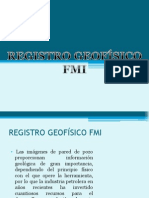 Registros Geofisicos FMI