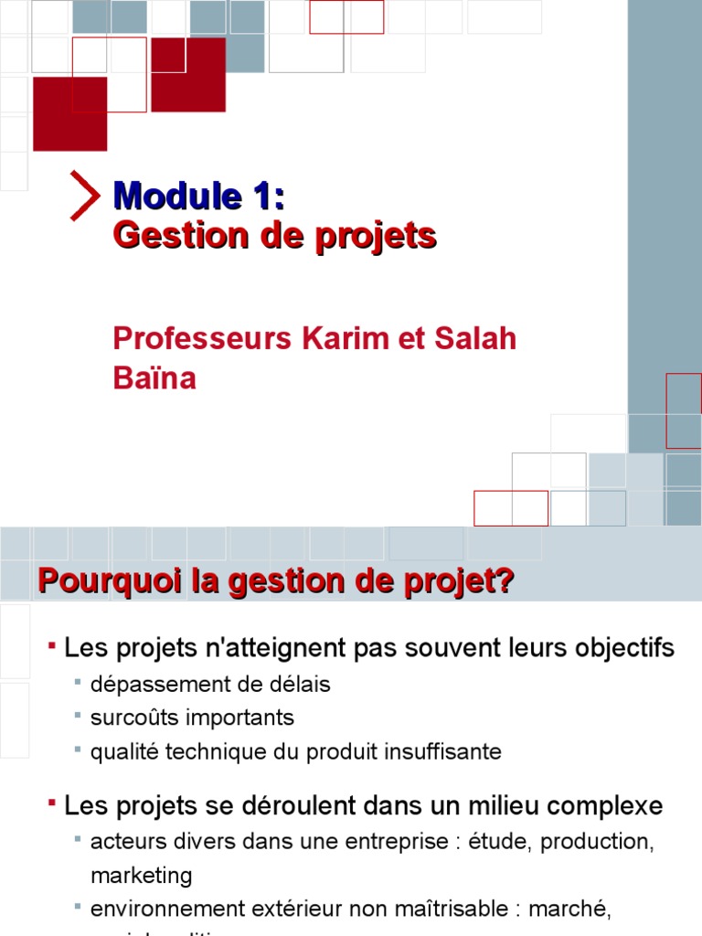 Gestion de Projet Complexe et Environnement | PDF | Gestion de projet ...