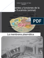 Exposición La Célula