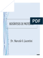 Biosíntesis de Proteínas