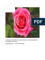 A Project Report On Rose Export and Marketing Channels of Rose .. Submited by Navnath Naik