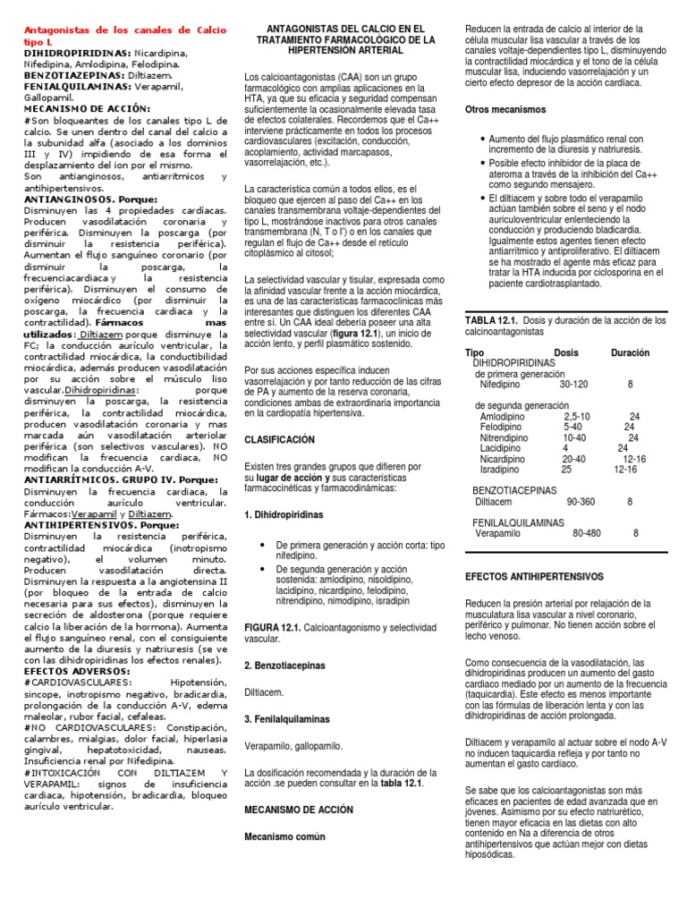 Antagonistas de Los Canales de Calcio Tipo L Sistema cardiovascular