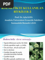 Kozmetikte Kullanılan Bitkiler - 3