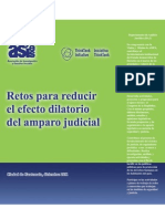 Retos Del Amparo Judicial 2011