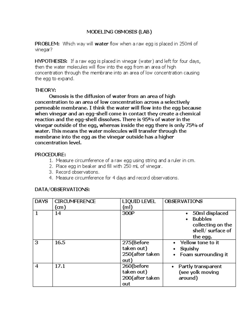 Modeling Osmosis Lab | PDF | Osmosis | Egg