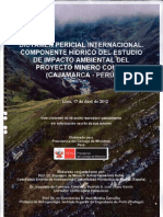 Dictamen Petricial Internacional Del EIA Conga