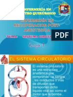 Sistema Circulatorio Unap