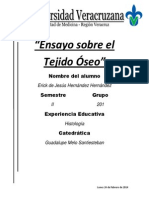 Ensayo Sobre El Tejido Óseo