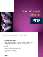 2 Comunicacion Celular