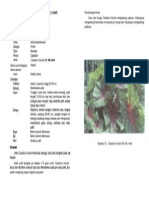 Keladi PDF