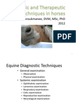 Diagnostic and Therapeutic Techniques in Horses 2011