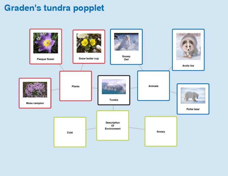 Graden | PDF