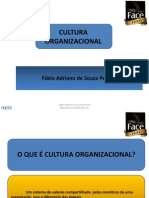 Cultura Organizacional_Fábio Pereira