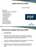 Synchronous Digital Hierarchy (SDH)