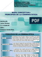 Mapa Conceptual Principios Criminalisticos