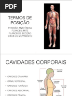 TERMOS DE POSIÇÃO